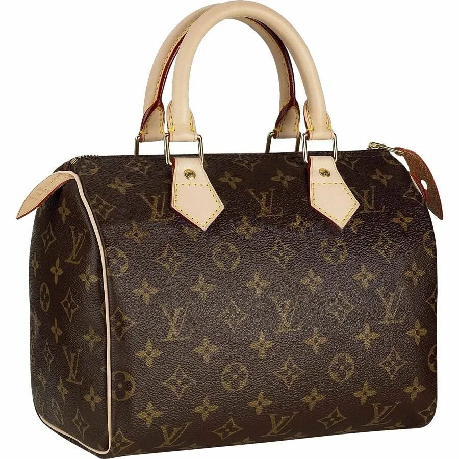 Сумки Луи.Виттон гуччи. Сумка Луи Виттон Speedy 30. Сумка Спиди Луи витон. Louis Vuitton Speedy 25. Апфс lv