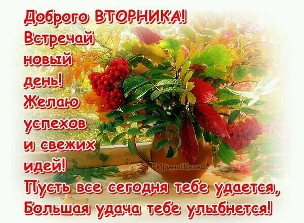 С добрым осенним утром друзья с пожеланиями. Открытки осенние с пожеланиями здоровья. доброе осеннее утро счастья и здоровья. с добрым утром осенним с пожеланиями здоровья. открытки с добрым осенним утром вторника с пожеланиями.