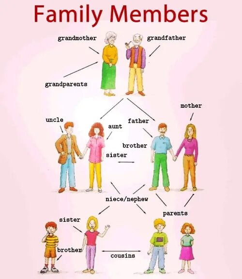 A member of the Family. Family members Vocabulary. Семья на английском языке.