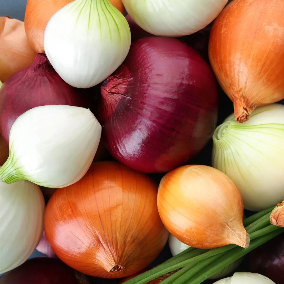 Лук смесь. Лук хиберна. Смесь луковая. Для первых блюд приправыч. Репчатый лук розанна.