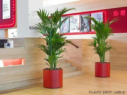 Plants company