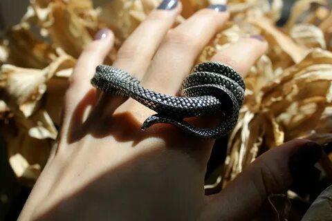 Elden ring змеи