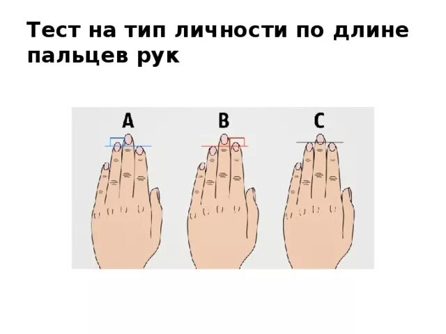 Тест определяющий тип. Тест на тип личности. тест по пальцам рук. психологические тесты по пальцам. тип личности по длине пальцев.