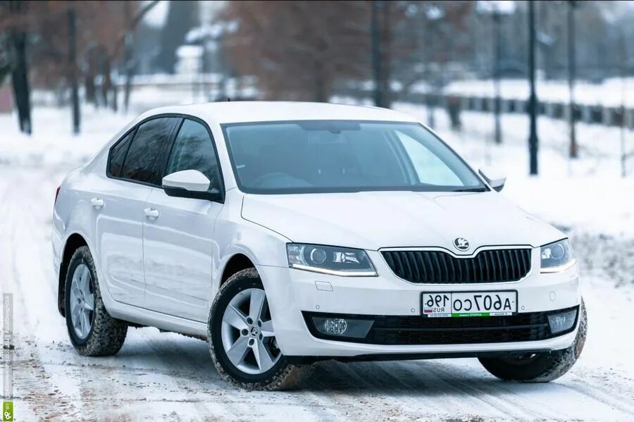 Volkswagen octavia. Фольксваген Jetta Шкода актавия.