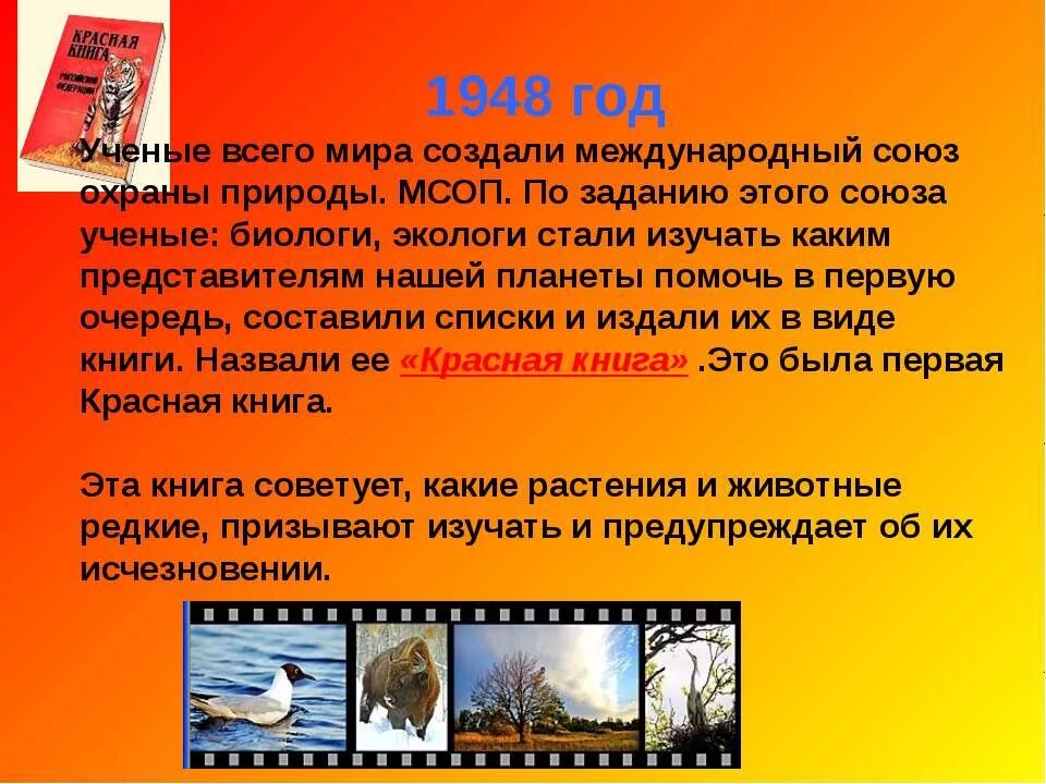 Берегите красную книгу. Книжка малышка берегите животных. книжка малышка на тему охрана животных. книжка малышка на тему защита животных.