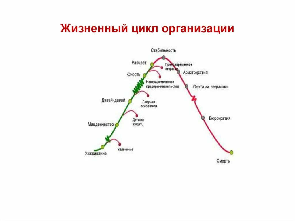 Анализ цикла организации. Жизненного цикла организации (ЖЦО). Жизненный цикл организации схема. Жизненный цикл предприятия схема. Жизненный цикл организации менеджмент схема.