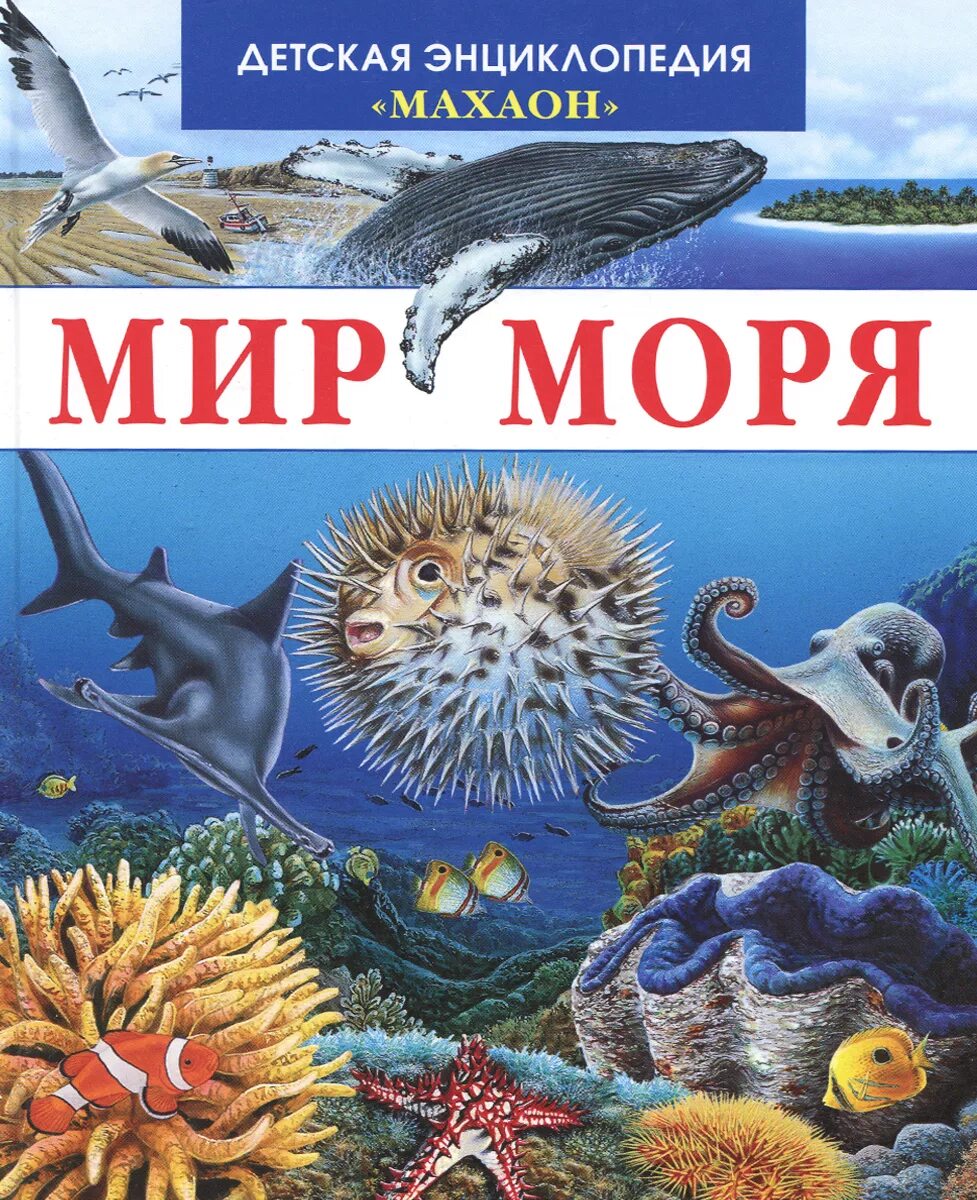 Книга Махаон мир моря. Детская энциклопедия Махаон мир моря. Обитатели морей и океанов для детей. Детские Художественные книги о подводном мире.