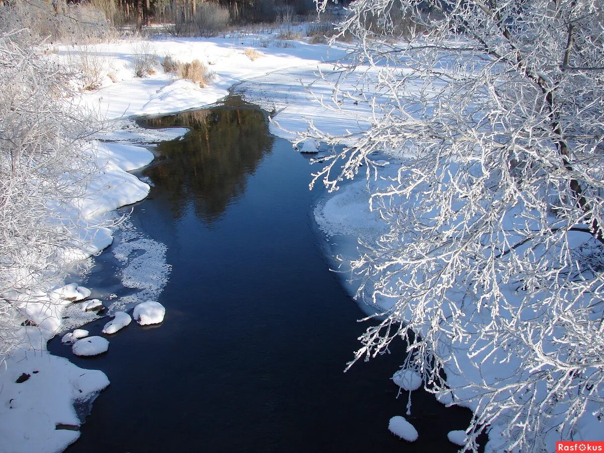 пробуждение природы весной. апрель пробуждение природы. природа пробуждается. весенняя природа. пробуждение весны.