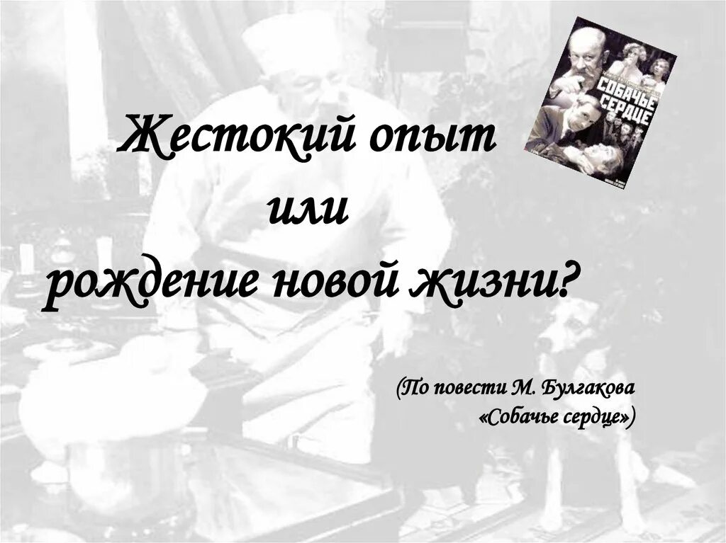 Уроки повести м булгакова собачье сердце. Жестокий опыт или рождение новой жизни Собачье сердце. Опыт новая жизнь Собачье сердце. Шариков жестокий опыт или рождение новой жизни. Так кто же такой шариков жестокий опыт или рождение новой жизни.