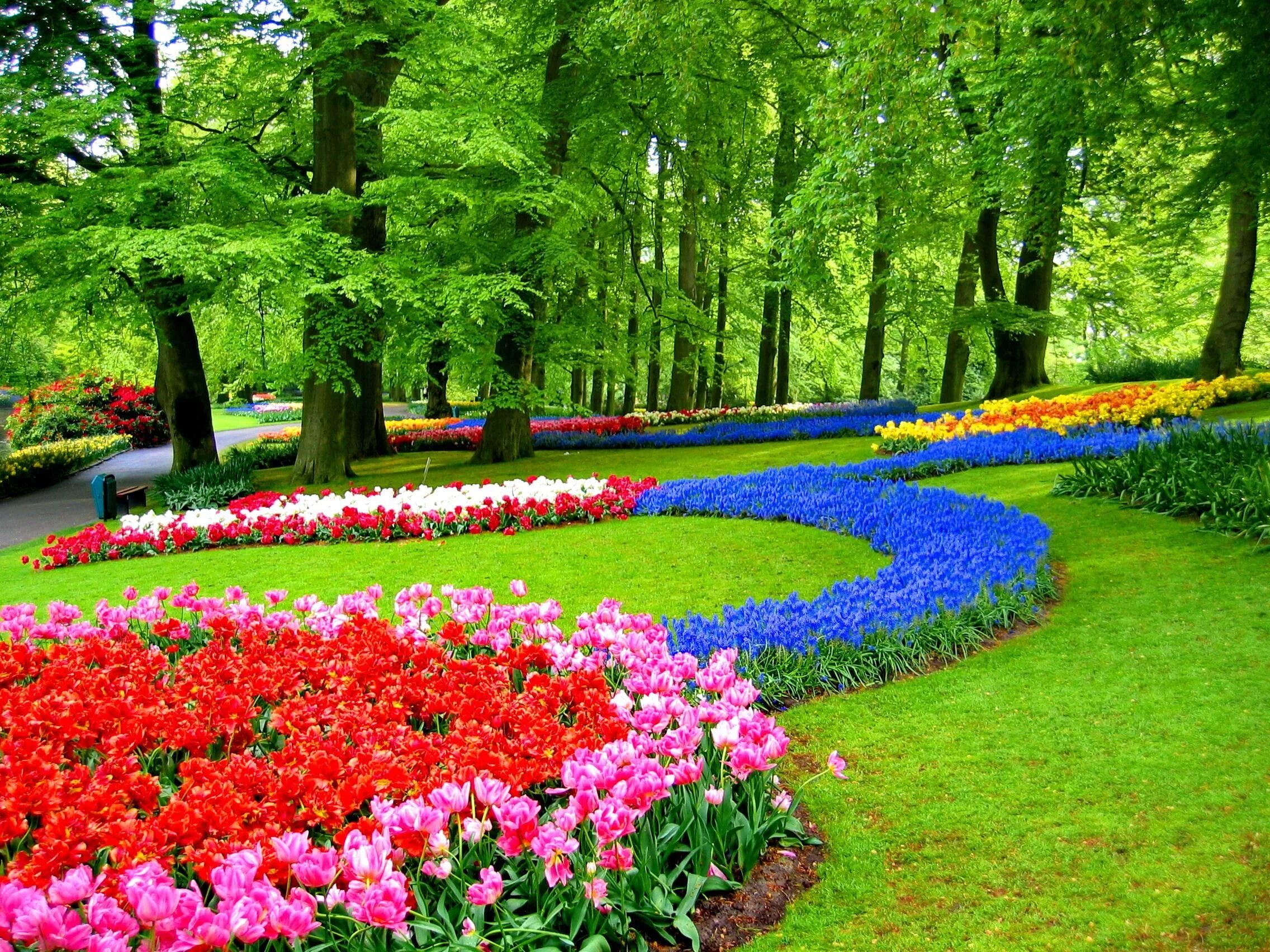 Парк какой прекрасный. Парк Кекенхоф. Парк цветов кёкенхоф. Кёкенхоф Нидерланды паркы. Флауэрс Гарден парк.