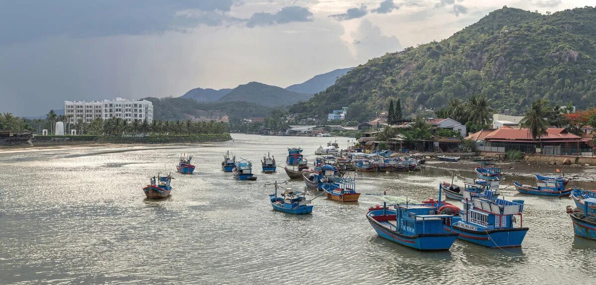 Нячанг 2021. Нячанг экскурсии 2024. Нячанг вьетнам сафари. Сочи море. Бахо вьетнам.