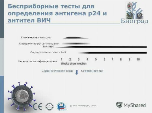 Антиген p24 вич 1