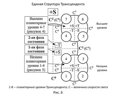 Схема строения какого