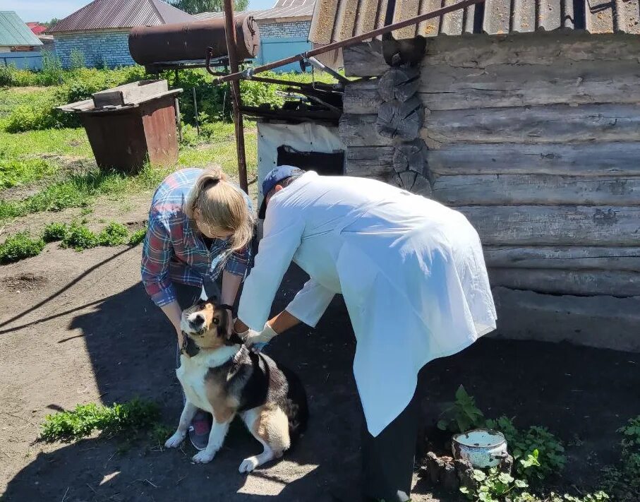 Случай в подмосковье