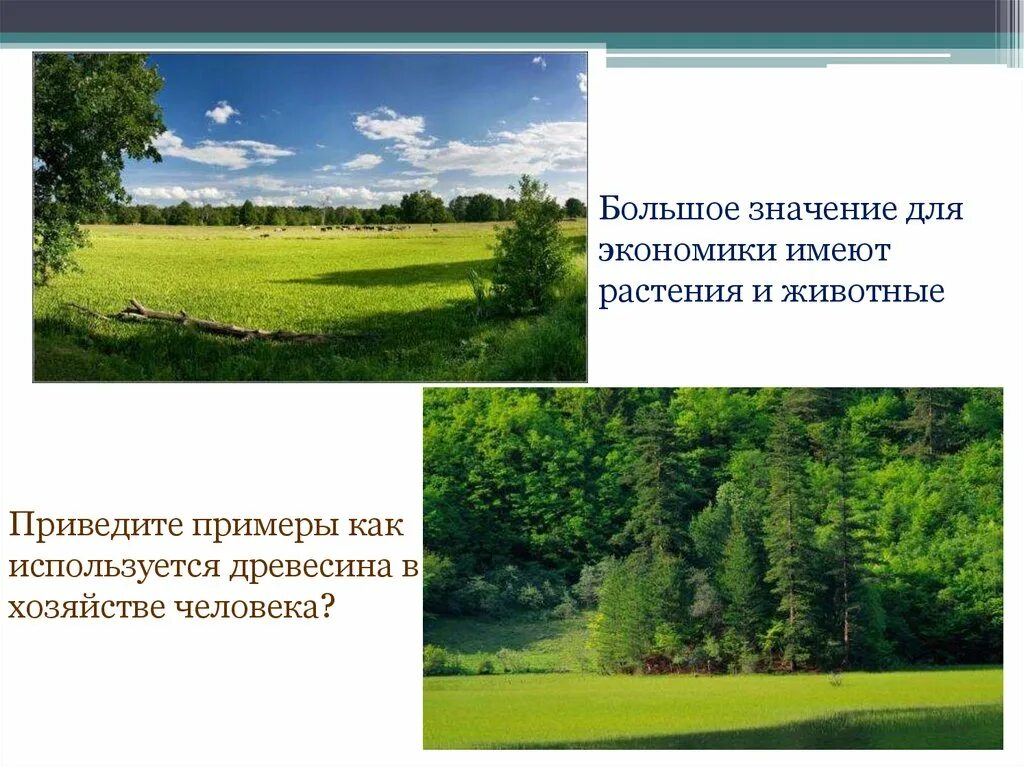 Определение природные богатства 3 класс окружающий мир. Природные богатства и труд людей основа экономики. природные богатства и труд людей основа экономики презентация. доклад на тему природные богатства и труд людей основа экономики. природные богатства спб.