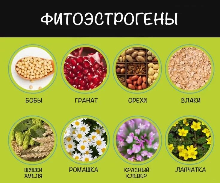 Фитоандрогены. Фитоэстрогены. Продукты с фитоэстрогенами. Продукты богатые фитоэстрогенами. Продукты содержащие фитоэстрогены.