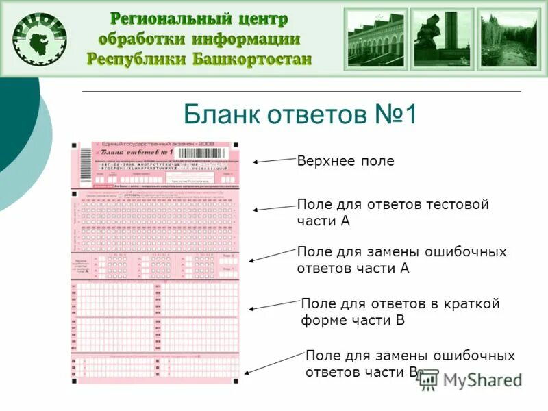 Рцои рб результаты. Рцои рб результаты