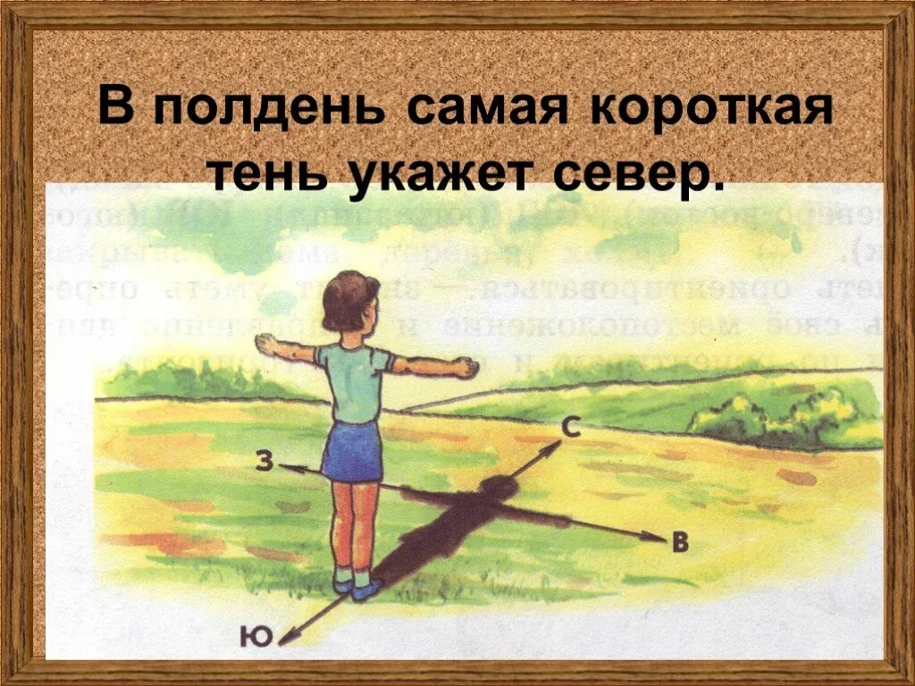 На какой стороне горизонта встает солнце. Ориентирование по солнцу. Ориентирование по местности по солнцу. Ориентирование по тени. Ориентир на местности по солнцу.