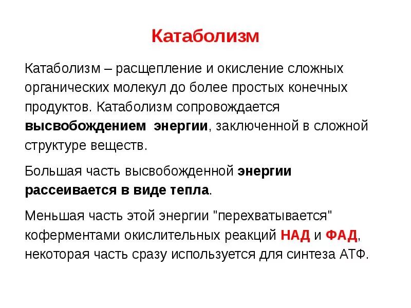 Расщепление сложных органических молекул. Этапы катаболизма. Этапы катаболизма таблица. Расщепления сложных органических молекул. Расщепление сложных веществ на более.