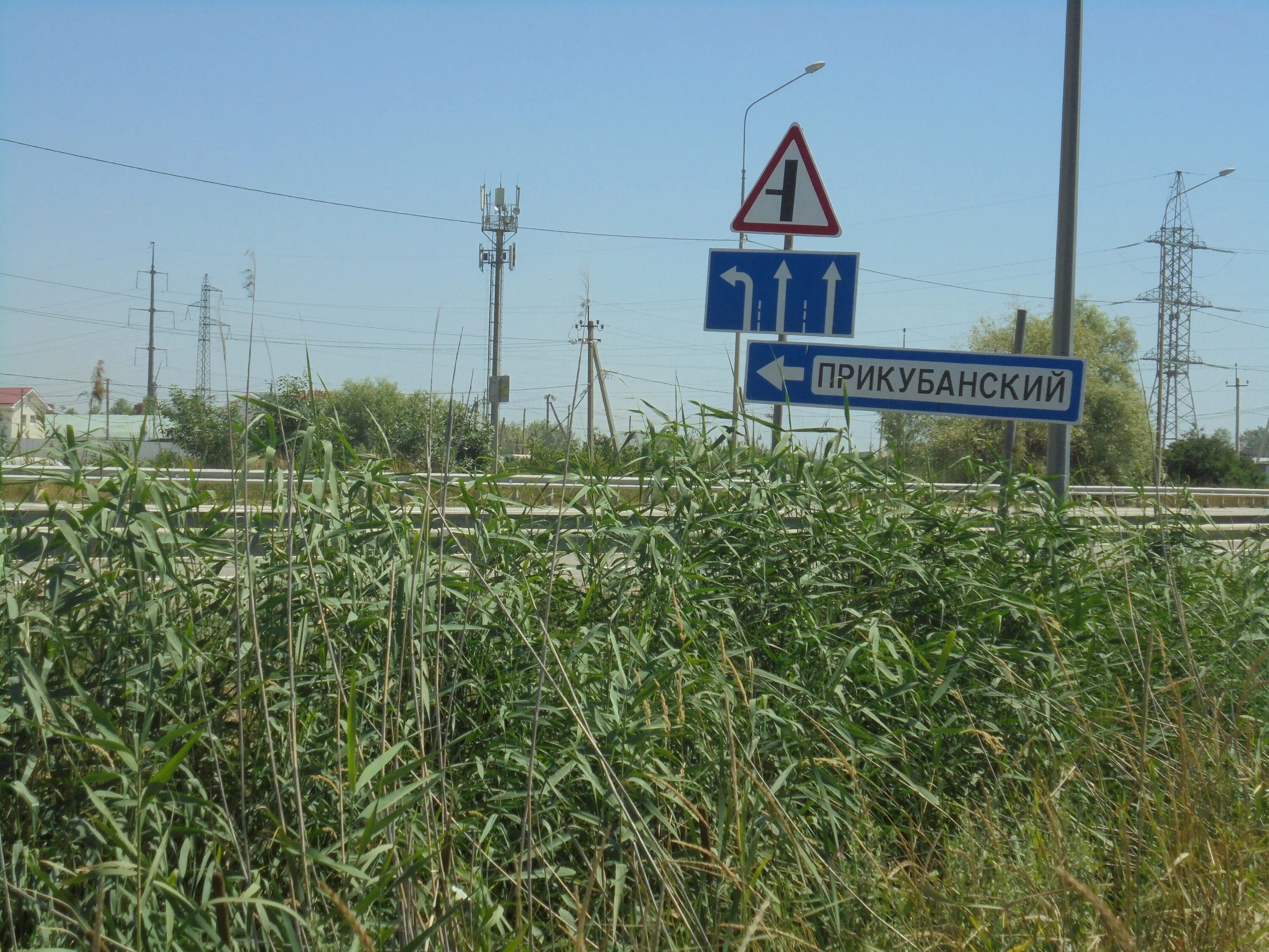 Поселок Прикубанский Краснодарский край. Поселок Прикубанский Адыгея. П Прикубанский Новокубанский район. Прикубанский район картинки.