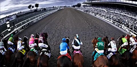 Horse race betting