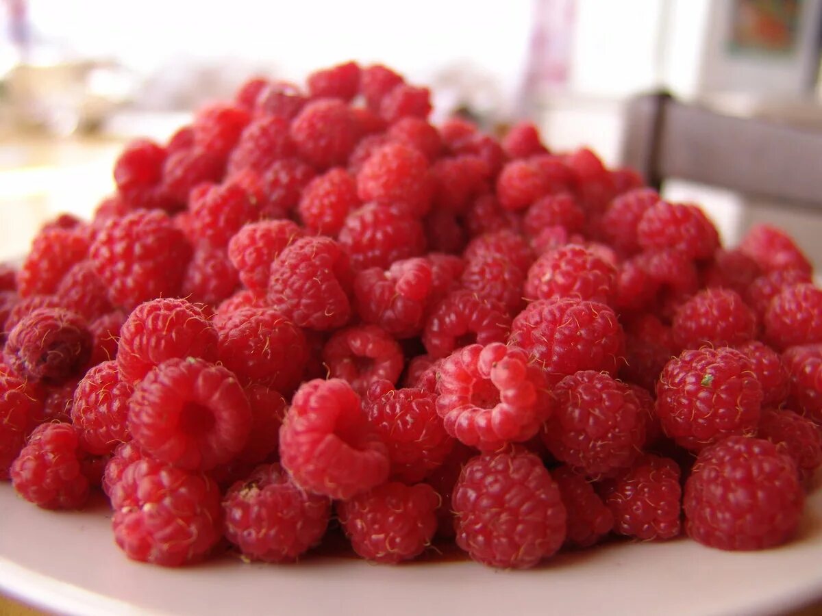 Ягодка-малинка капельки. Ягодка малинка. Малинки дома. Братья малинка. Земляника ремонтантная малина.