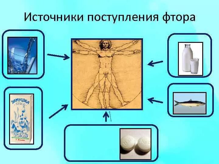 Фтор для организма. Источники поступления фтора. Воздействие фтора на организм человека. Распределение фтора в организме. Источники поступления фторидов в организм:.