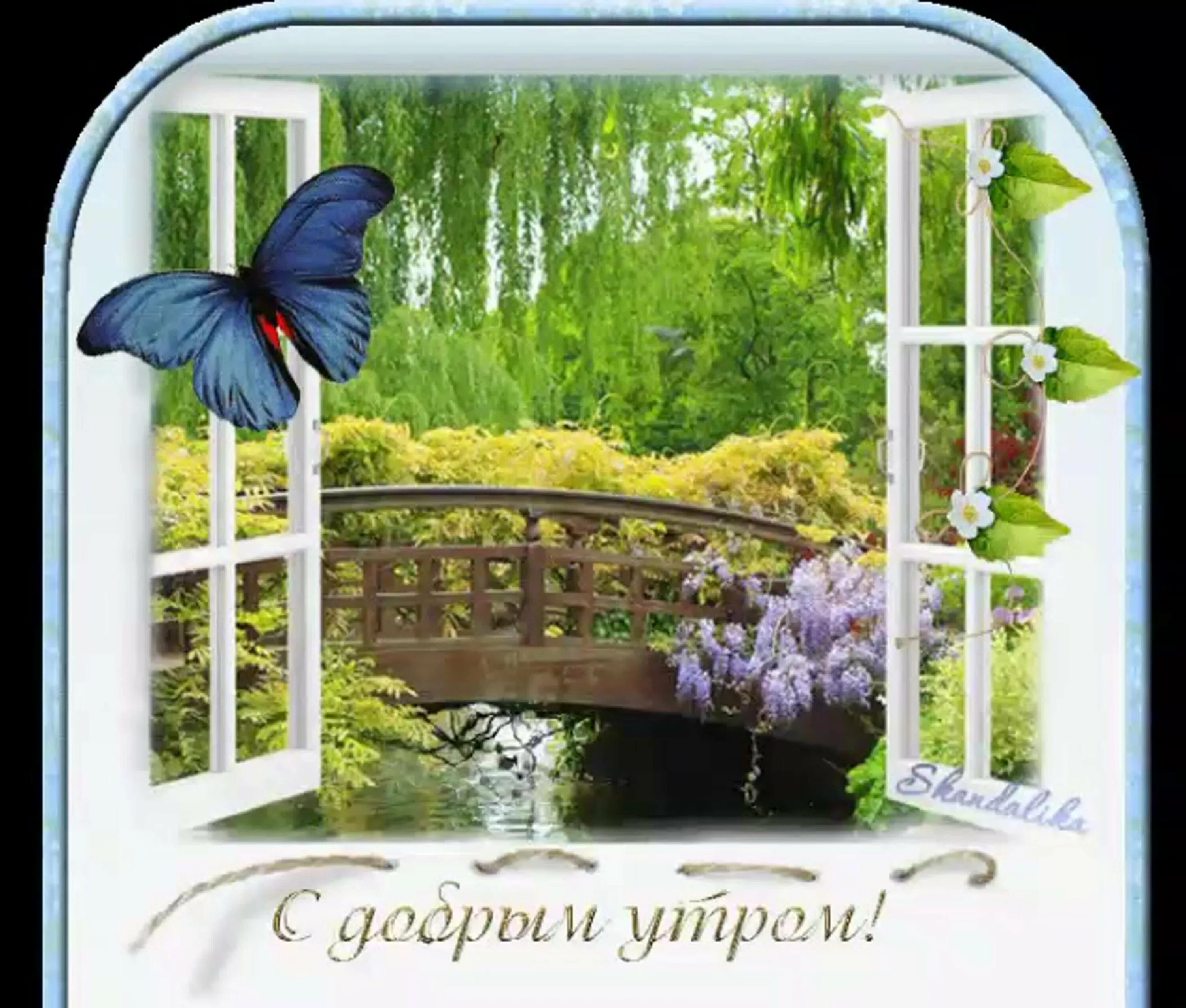 Бесплатные открытки с добрым летним утром мерцающие. Доброе утро природа. доброе утро картинки природа. открытки с добрым утром с природой.