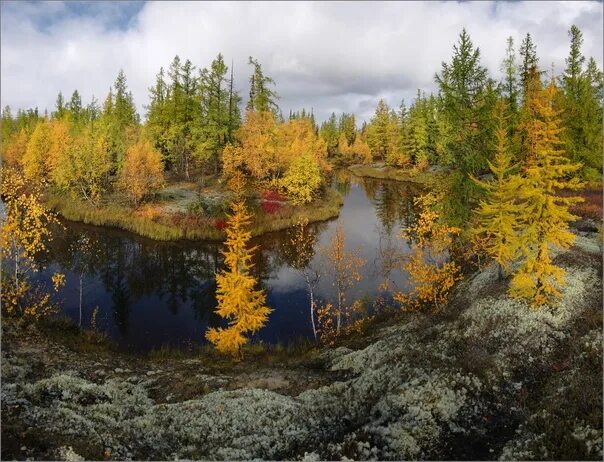 Природа севера фото Chukotka Озера, Пейзажи, Природа
