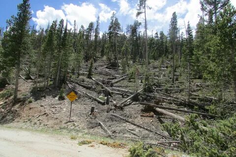 Thumbnail for version as of 23:14, 21 June 2022. 