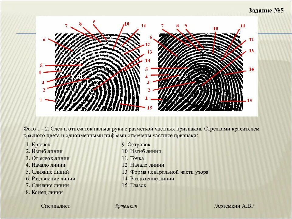 Общие и частные признаки объекта. Описание отпечатков пальцев криминалистика пример. Отпечаток пальца с описанием папиллярных узоров\. Частные признаки папиллярного узора. Папиллярные узоры криминалистика.