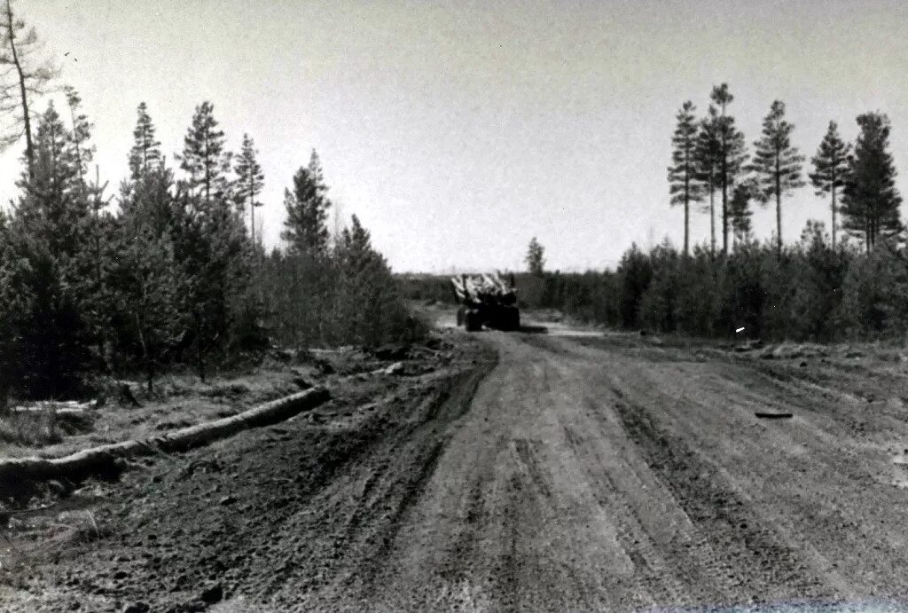 Североуральск поселок черемухово. Свердловская область поселок черемухово североуральский округ. Черёмухово (североуральский городской округ). Черемухово североуральск. Валберис черёмухово североуральский округ фот валбираса.