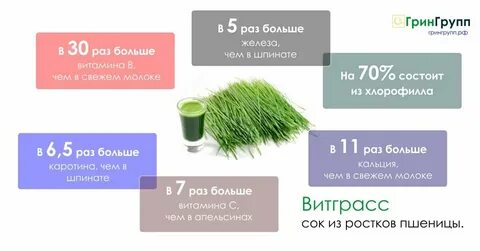 Витграсс отзывы