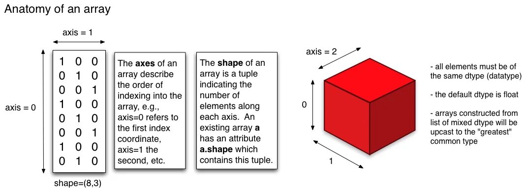 Tensor to array