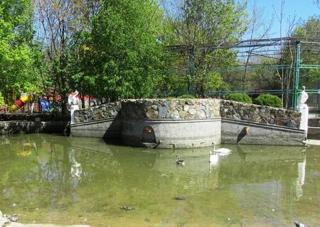 Зоопарк симферополь