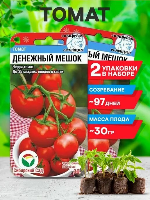 Черри денежный мешок. Томат денежный мешок 20 шт. Томат черри денежный мешок. Томат гибрид тарасенко юбилейный. Томат денежный мешок сибирская селекция.