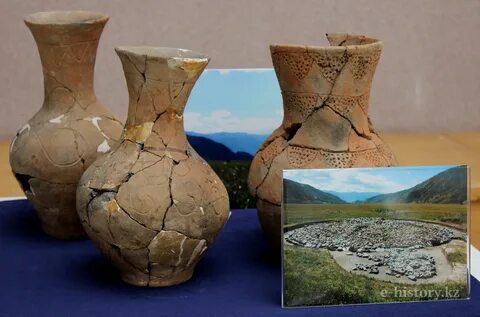 Әйел жағажайда бір топ әтештерді жұлып алады