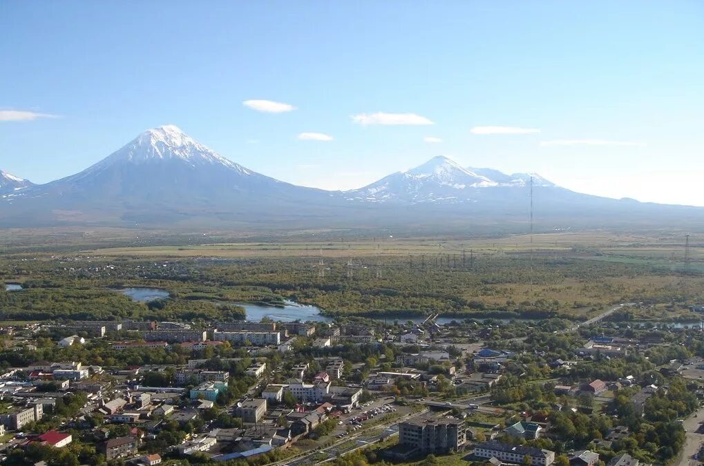Камчатка камчатский