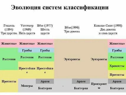 Систематика эволюции