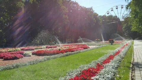 Парк льва толстого