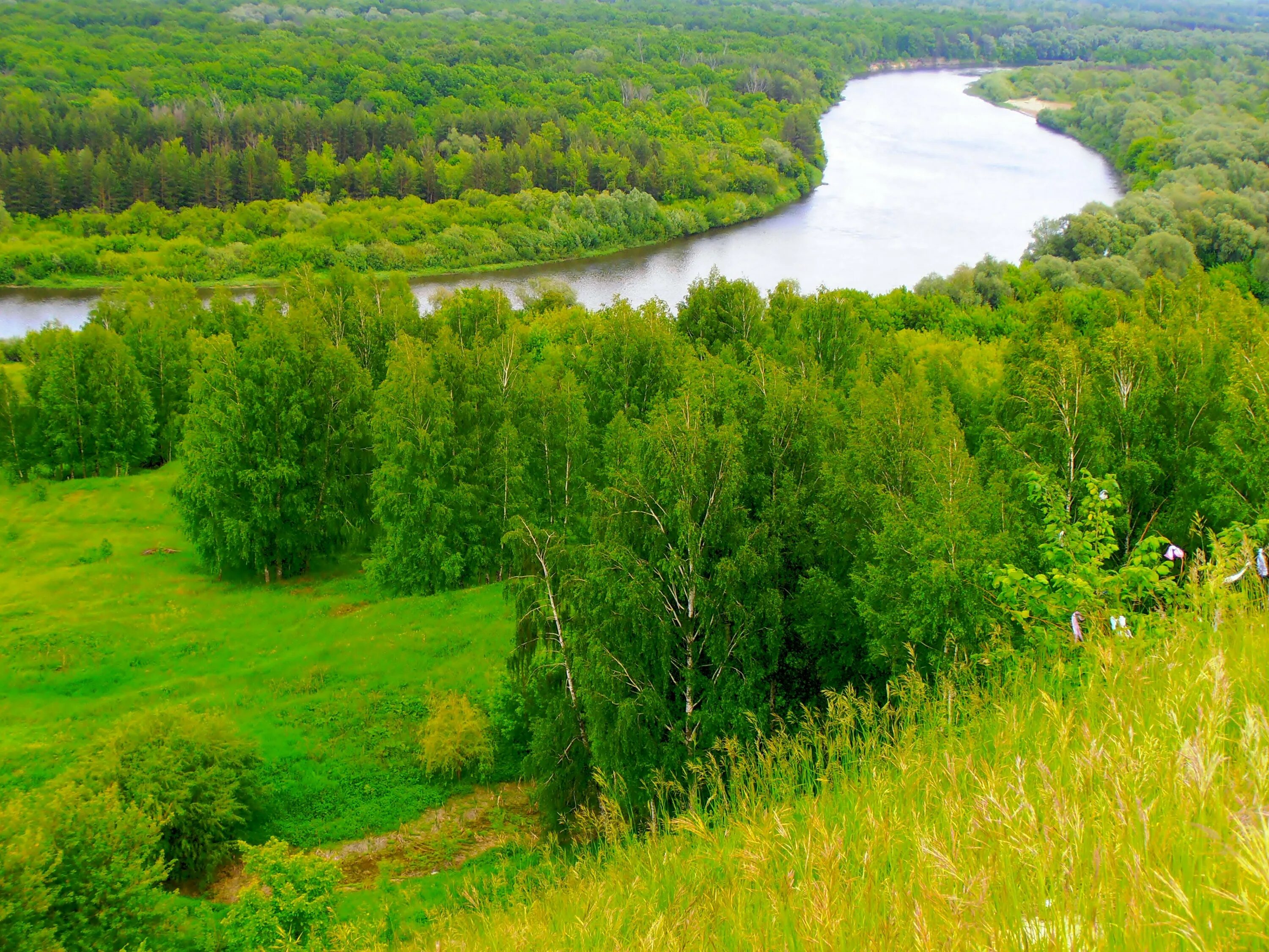 Пензенская область фото. Заповедник Присурский Алатырь. Река Сура в Чувашии. Река Сура в Пензенской области. Сура река Марий Эл.
