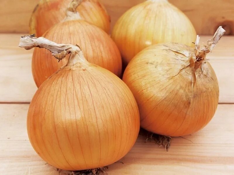 Лук 1 головка. Лук репка. Лук репчатый. Луковица на белом фоне. Лук севок красный.