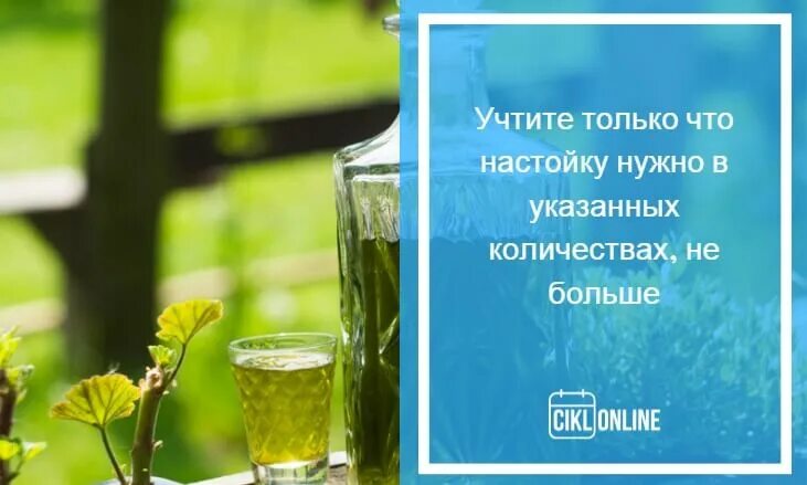 Отвар крапивы при месячных. Крапива при обильных месячных. настойка крапивы при обильных месячных. листья крапивы при месячных обильных.