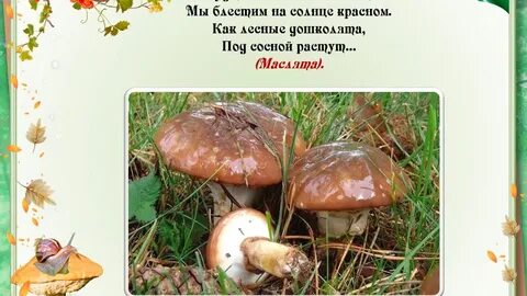 Цветаева ох грибок ты мой грибочек