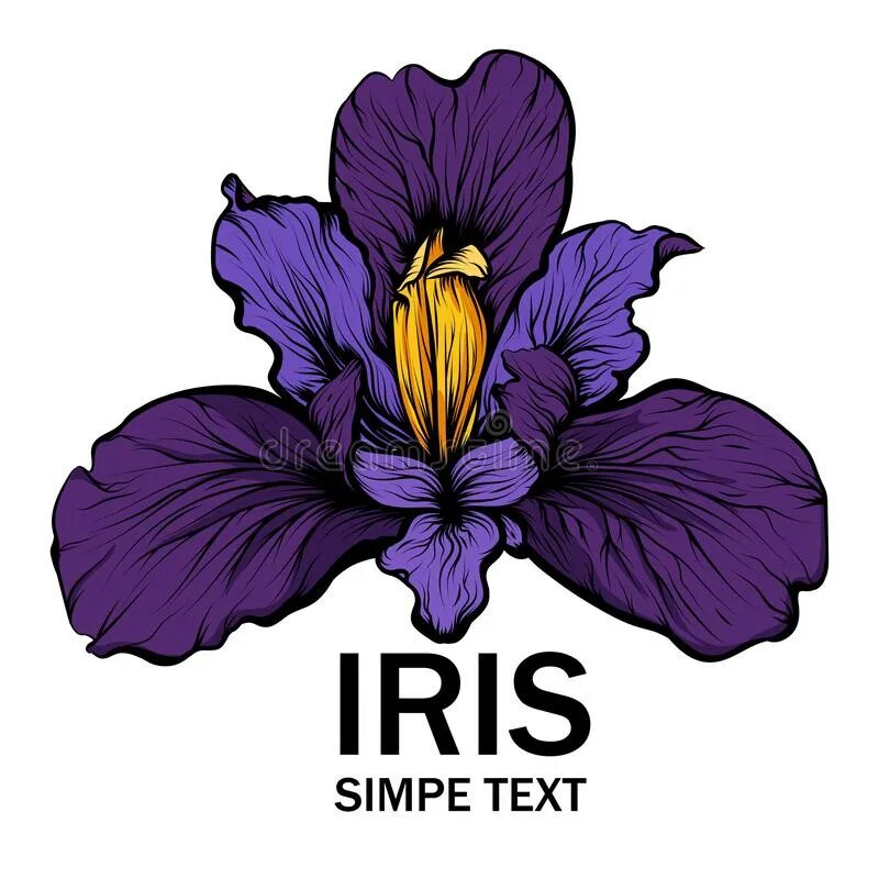 Iris graphics