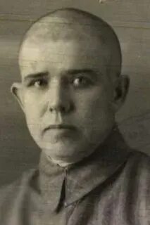 Д д васильевич