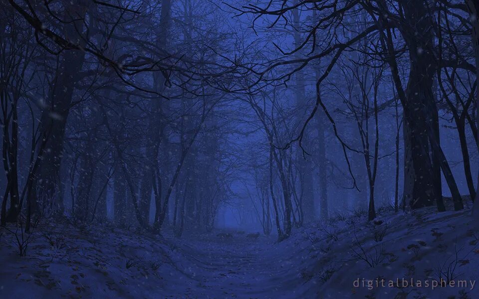 Ночной зимний лес. Снежная ночь. Зимний лес ночью. Заснеженный лес. Ночной зимний лес.