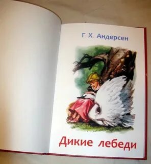 Дикой краткое содержание