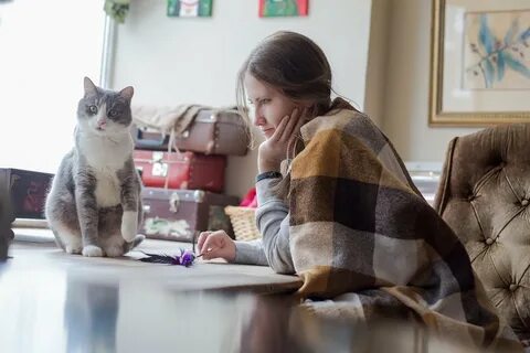 Котиссимо