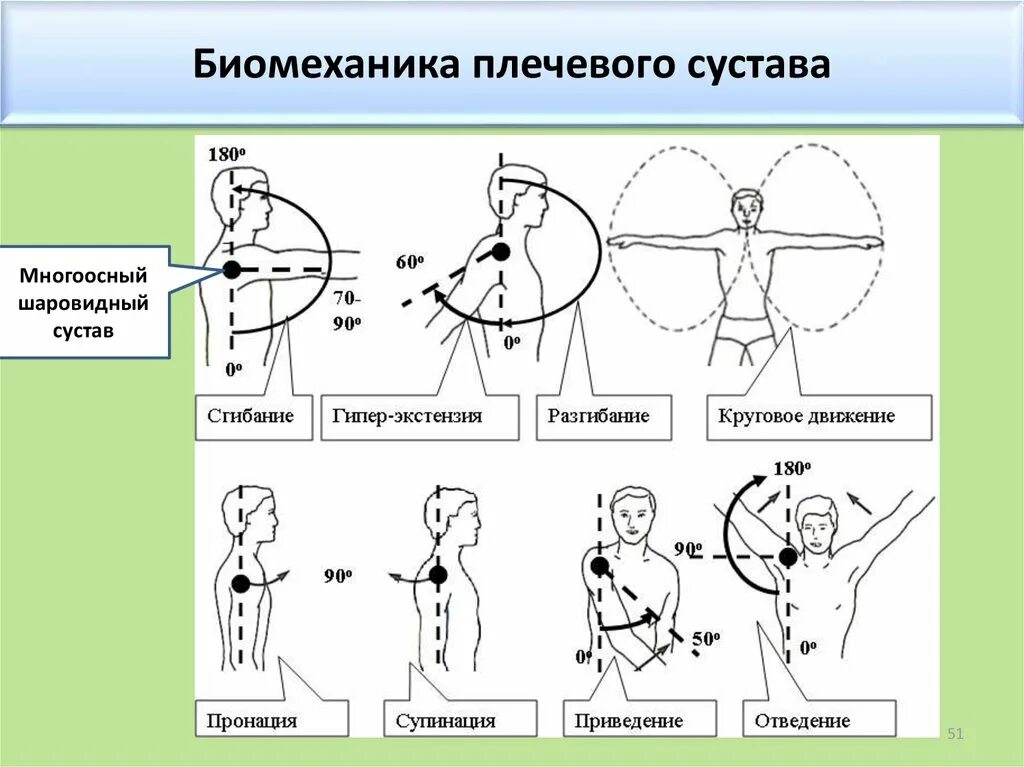 Плечевой сустав биомеханика движения. Диапазон движений в плечевом суставе. Сгибание разгибание отведение приведение в плечевом суставе. Отведение в плечевом суставе. Направление движения по оси